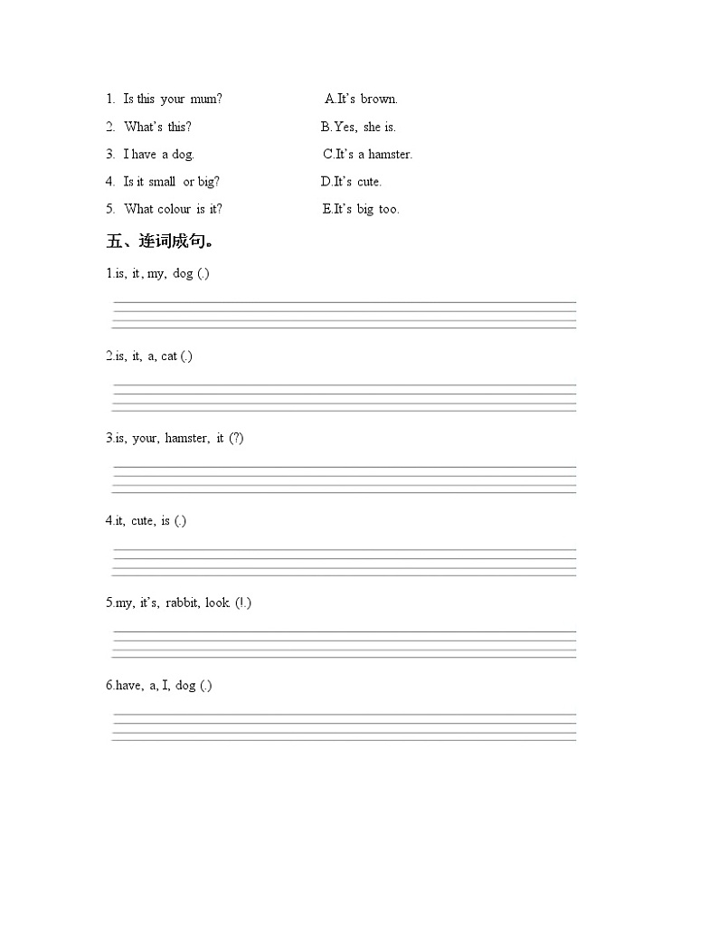 Unit 2 I have a rabbit Period 3课件+教案+同步练习02