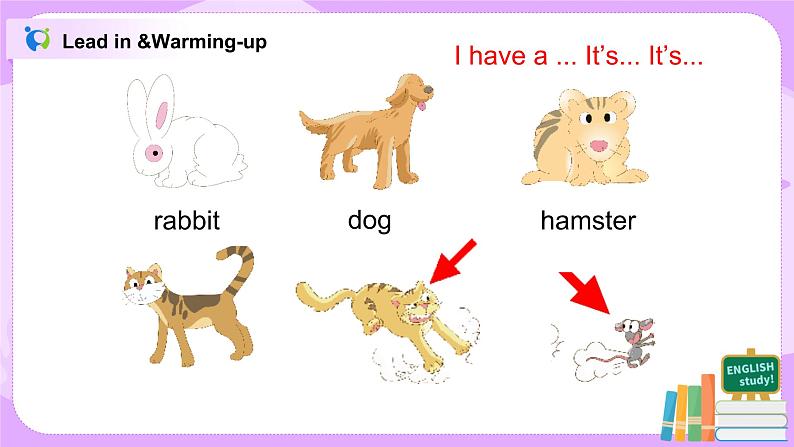 Unit 2 I have a rabbit Period 3课件+教案+同步练习05