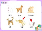 Unit 2 I have a rabbit Period 2课件+教案+同步练习
