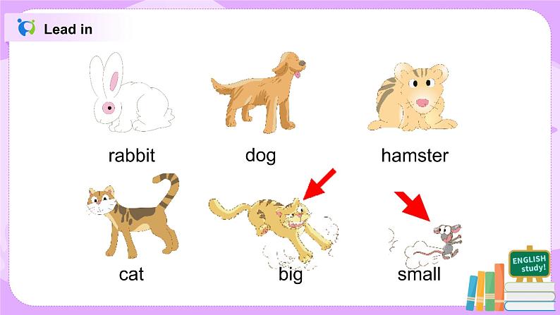 Unit 2 I have a rabbit Period 2课件+教案+同步练习05