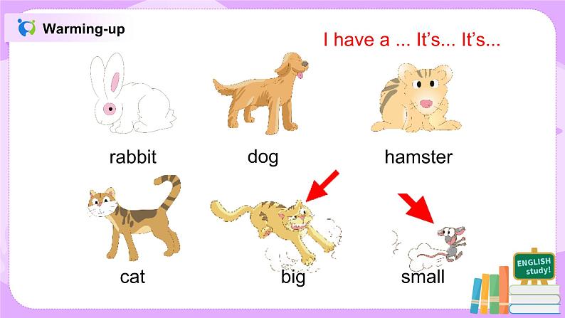 Unit 2 I have a rabbit Period 2课件+教案+同步练习06