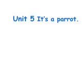 人教精通版小学英语三下 Unit5 It's a parrot.(Lesson25) 课件