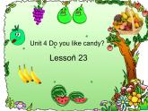 人教精通版小學(xué)英語三下 Unit4 Do you like candy？(Lesson23) 課件