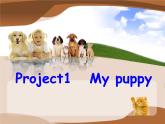 译林版小学英语三下 Project1 My puppy 课件