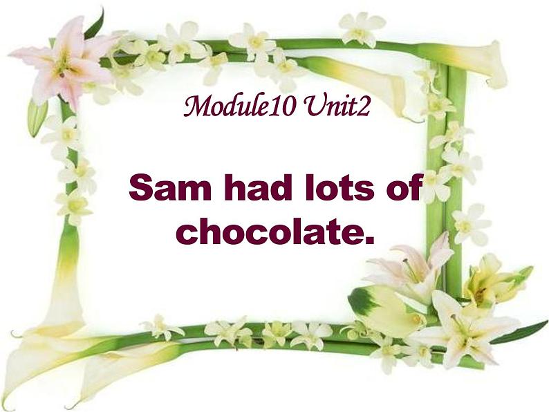 外研版（三起）小学英语四下 M10 U2 Sam had lots of chocolate. 课件01