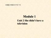 外研版（三起）小学英语五下 M1 U2 She didn't have a television. 课件