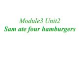 外研版（三起）小学英语五下 M3 U2 Sam ate four hamburgers. 课件