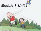 外研版（三起）小学英语六下 Module1 Unit1 I want a hot dog,please. 课件