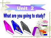 外研版（三起）小学英语六下 Module10 Unit2 What are you going to study？ 课件