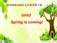 2020-2021学年Unit 2 Spring Is Coming!示范课课件ppt