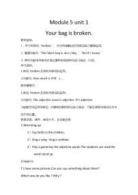 外研版 (一年级起点)五年级下册Unit 1 Your bag is broken.教案设计