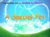 外研版（一起）小學(xué)英語五下 A Special pet 課件