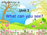 湘少版（三起）四下英语 Unit3 What can you see？ 课件
