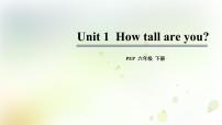 2021学年Unit 1 How tall are you? Part B教学ppt课件