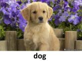 人教精通版小學(xué)英語四下 Unit6 Would you like to take a trip？(Lesson33) 課件