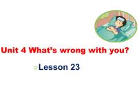 英语Lesson 23授课ppt课件