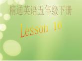 人教精通版小學(xué)英語五下 Unit3 We should obey the rules.(Lesson16) 課件