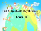 人教精通版小学英语五下 Unit3 We should obey the rules.(Lesson14) 课件