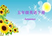 2020-2021学年Lesson 12 Revision备课课件ppt