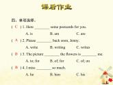 冀教版（三起）英语小学五年级下册Lesson 23 An Email from Li Ming 作业课件