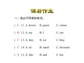 冀教版（三起）英語(yǔ)小學(xué)四年級(jí)下冊(cè)U4-L19 My Favourite Colours課后作業(yè)課件