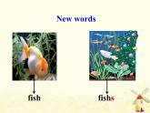 冀教版（三起）英语小学三年级下册U1-L3 Fish and Birds教学课件