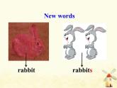 冀教版（三起）英语小学三年级下册U1-L4 Horses and Rabbits教学课件