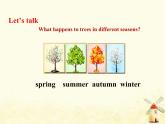 冀教版（三起）英語小學(xué)六年級下冊U3-L13 Summer Is Coming！教學(xué)課件