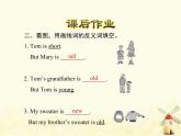 冀教版（三起）英語(yǔ)小學(xué)四年級(jí)下冊(cè)U3-L14 Are you Short or Tall？課后作業(yè)課件