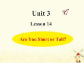 冀教版（三起）英語(yǔ)小學(xué)四年級(jí)下冊(cè)U3-L14 Are you Short or Tall？教學(xué)課件