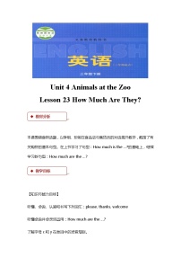 小学英语冀教版 (三年级起点)三年级下册Lesson 23 How Much Are They?教案