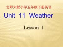 北师大版 (三年级起点)五年级下册Unit 11 Weather课堂教学ppt课件