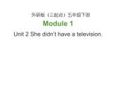 外研版（三起）小学英语五下 M1 U2 She didn't have a television. 课件