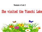 外研版（三起）小学英语五下 M6 U2 She visited the tianchi lake. 课件