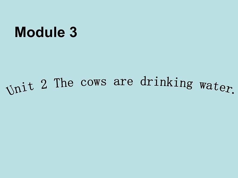 外研版（三起）小学英语六下 Module3 Unit2 The cows are drinking water. 课件第1页