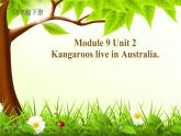 外研版（一起）小学英语四下 M9U2 Kangaroos live in Australia. 课件