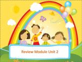 外研版（一起）小学英语五下 Review Module Unit2 课件