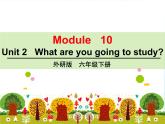 外研版（三起）小学英语六下 Module10 Unit2 What are you going to study？ 课件