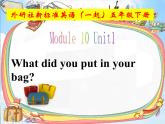 外研版（一起）小学英语五下 M10U1 What did you put in your bag？ 课件