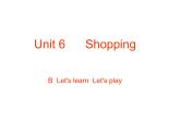 Unit 6 Shopping part B 课件
