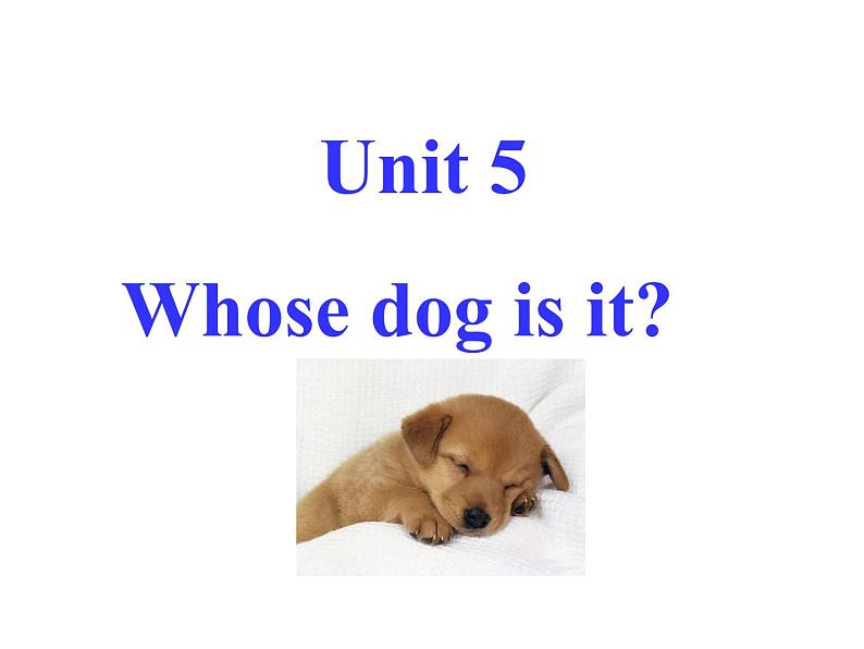 Unit5 Whose dog is it PartA 课件第1页