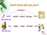 Unlt 1 How tall are you？ part C  课件