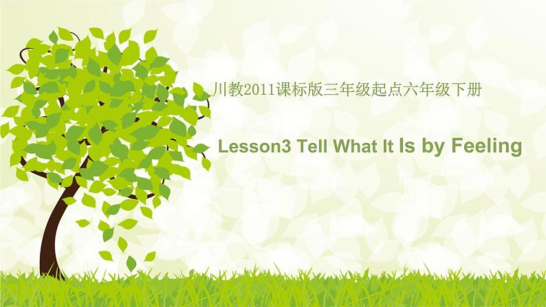 六年级下册英语课件-Unit 2 Lesson3 Tell What It Is by Feeling 川教版（三起） (5)01