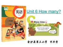 小学英语人教版 (PEP)三年级下册Unit 6 How many? Part C备课ppt课件