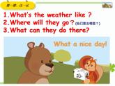 小学英语PEP 5A C Unit6 In a nature park部优课件
