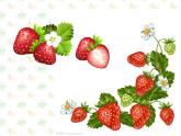 小学英语PEP 5A Recycle 1 All About Strawberries读写部优课件