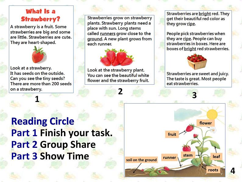 小学英语PEP 5A Recycle 1 All About Strawberries读写部优课件07