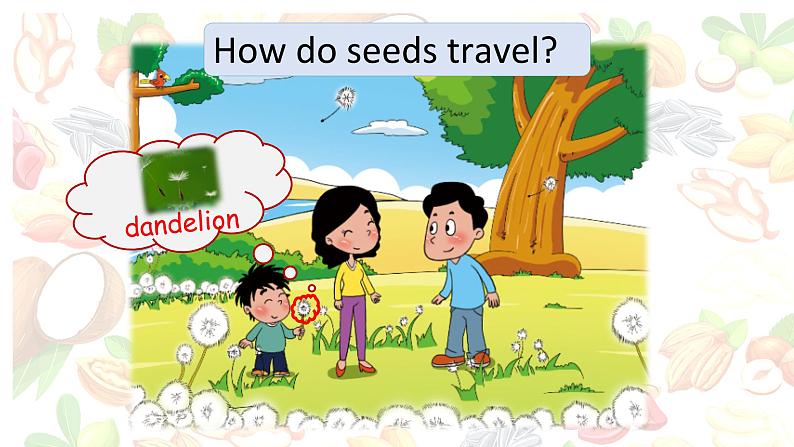 小学英语北京版5B unit3 how do seeds travel Lesson11部优课件06