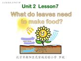 小学英语北京版5B unit2 Lesson7 what do leaves need to make food 部优课件