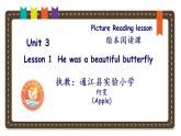 小学英语川教版6B unit3 Lesson1 He Was a Beautiful Butterfly 部优课件